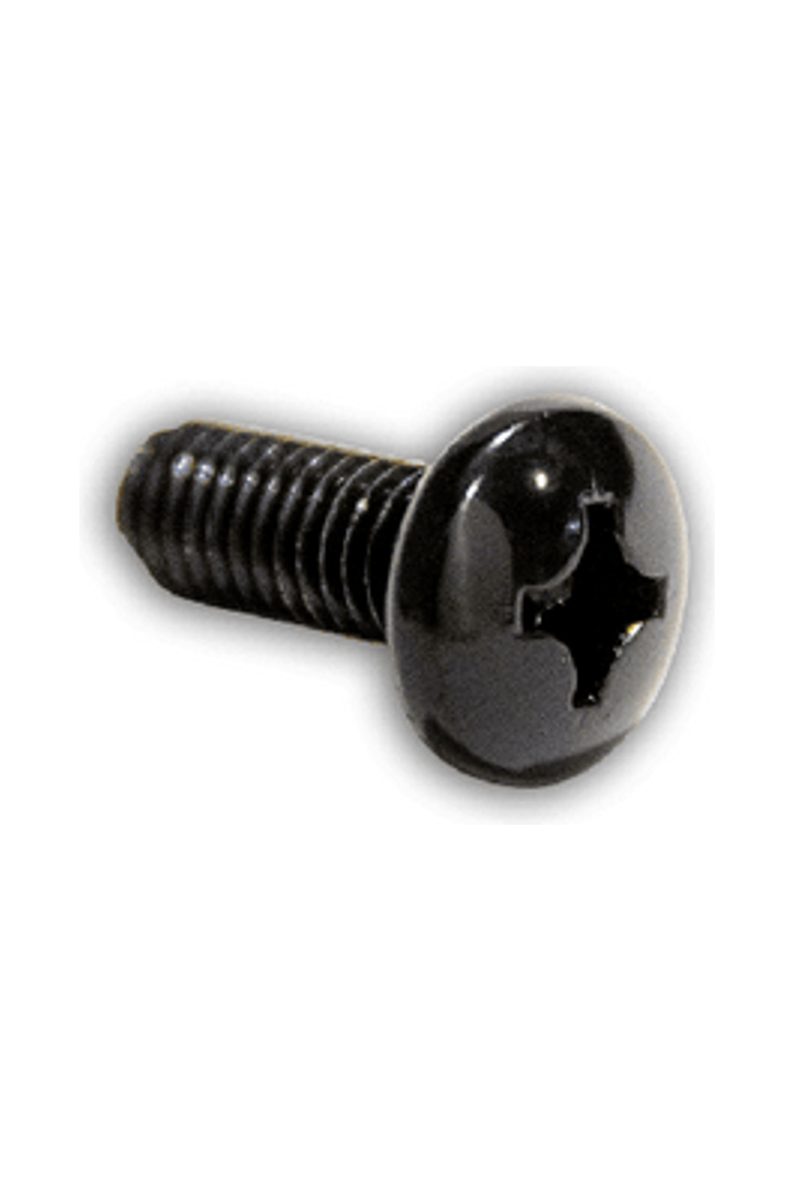 Twintip Hardware Screws M6x16 X 1